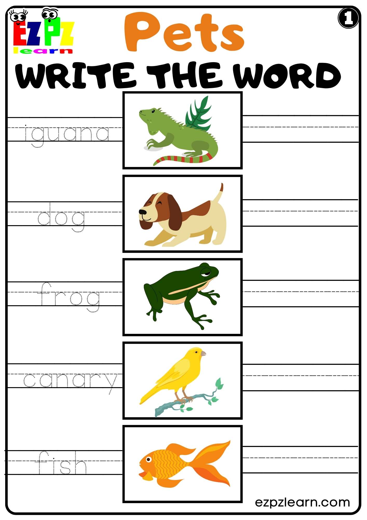 Pets Write the Word set 1 Worksheet For Kids and ESL PDF Download